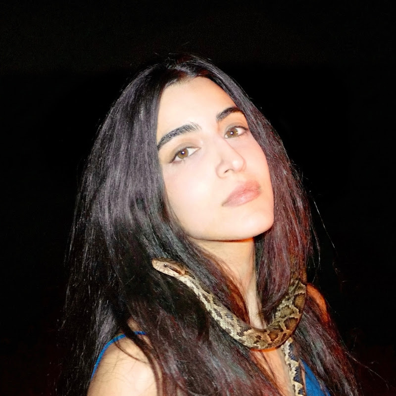 Luciana Zogbi
