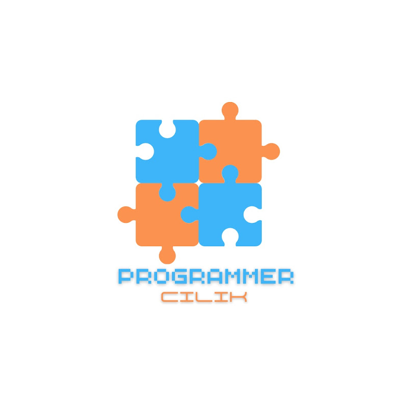 Programmer Cilik