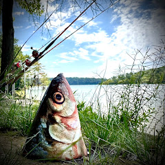Fish Around Find Out