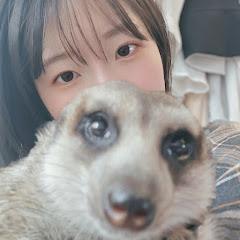 누뇽누뇽
