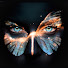 Kf_lweYLNA4-channel-avatar-SHIFTCAST
