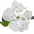 @thetrickled's avatar