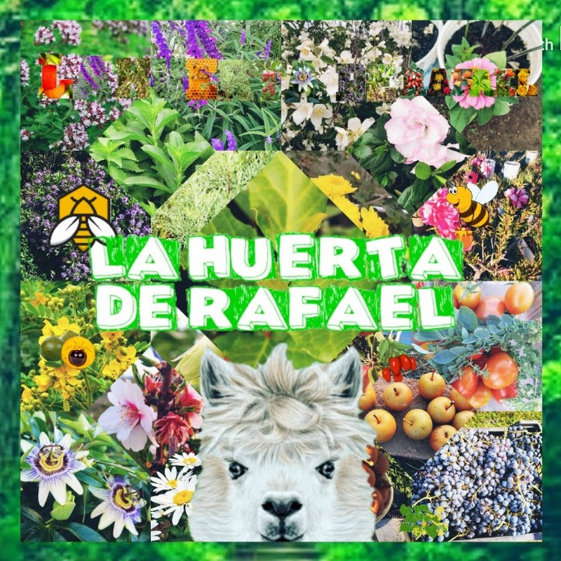 La huerta de Rafael