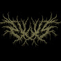 WOLVES (film) Avatar