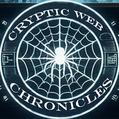 Cryptic Web Chronicles