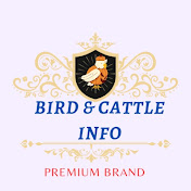 Birds And Cattle Info