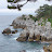 @PUSKK-YOONTAEJUNG-np3dx