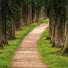 LvwC628Em2A-channel-avatar-Only One Way
