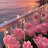 @بشوف-ص6س