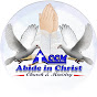 Abide in Christ Church and Ministry Official logo