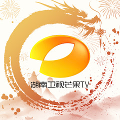 湖南卫视芒果TV官方频道 China HunanTV Official Channel net worth