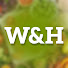 Wae75uvGXS8-channel-avatar-WELLNESS&HEALTH