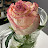 @جُلنار-ن7غ