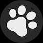 Dog Facts & Fun