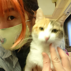 福田和人(*'ω'*) 🐈ぬこ8匹と生活🐈