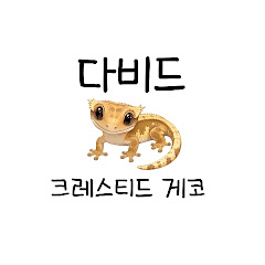 다비드 물생활TV-Crested gecko