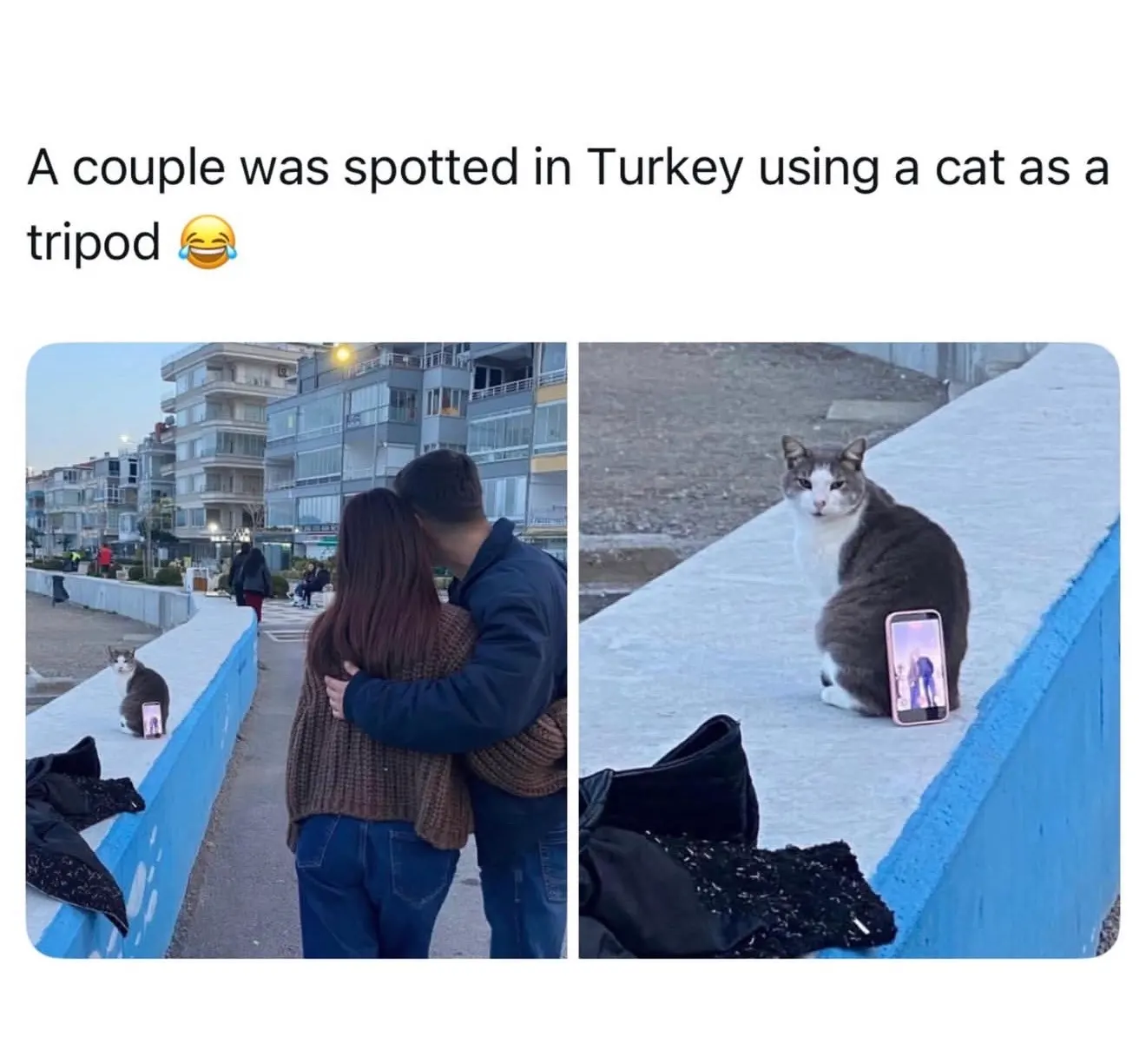 J11z6srytSt8aOgtwtlzuYu15sTNYJt5YMJD3WqD664AqjD5c_2MC19_z_48L2s7mIaqXvgH3ik7Ag=s1320-rw-nd-v1