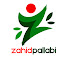 Qq-GwMhYC_E-channel-avatar-zahidpallabi