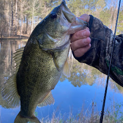 SIMPLIFIED Fishing