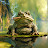 TOAD BONE