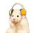 @담청-u6i
