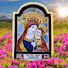 TmJGnxBEqI4-channel-avatar-TV Buon Consiglio Studio