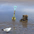 rrbh_-CR8EI-channel-avatar-大力魚魚