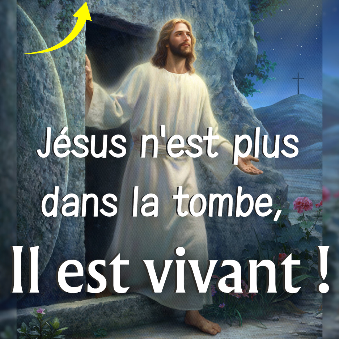Post From Frère Mathieu 