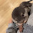 @료마-n27f