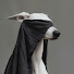 MGLtmblOpTA-channel-avatar-Talon