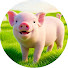 bR0PiZlrYS4-channel-avatar-Family Animal