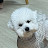 @user-ct2pv8xx3o