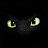 @user-Toothless