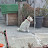 @연산군-w6i
