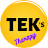 Tek's Therapy