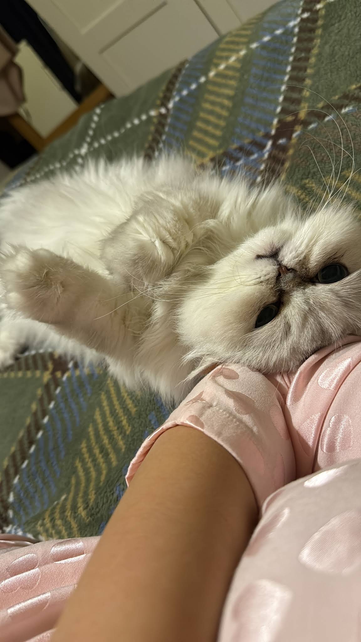 Mehtap Ziyagil ASMR - YouTube