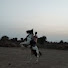 VTD8iAZLECQ-channel-avatar-LAKSHYA HOON