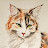 rachelsstudiodotcom