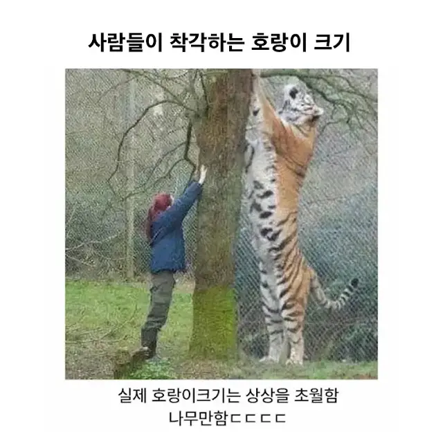 BlockNote image