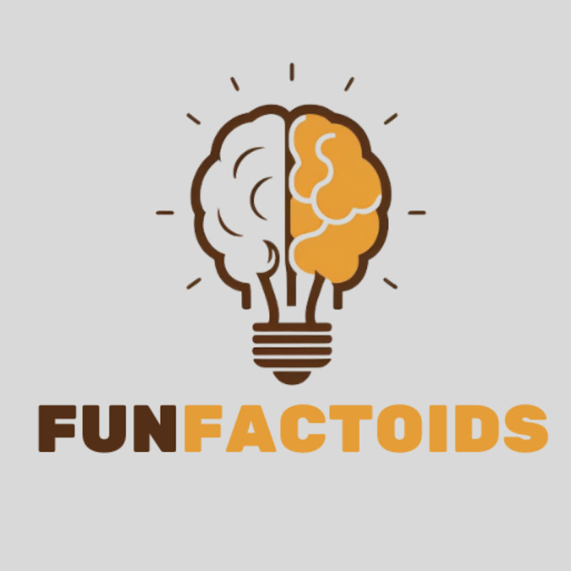 Funfactoid