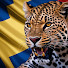 804LZqCaYk4-channel-avatar-Léopards & Légendes
