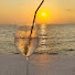 iSWavMVyecQ-channel-avatar-NewLife