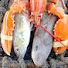 P89M_Sy0l0Y-channel-avatar-The Lobster Boys