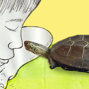 Kamegon【friendly turtle】