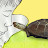 Kamegon【friendly turtle】