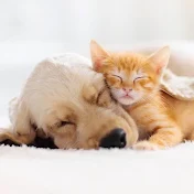 ほっこり屋