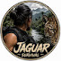 Vy-ce_MicPE-channel-avatar-Jaguar Survival