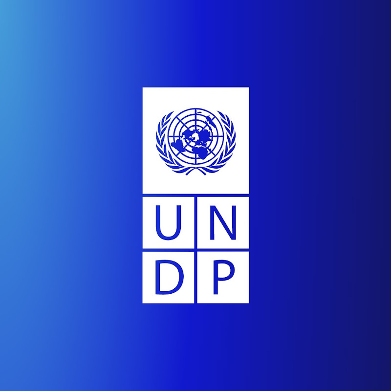 United Nations Development Programme (UNDP) icon