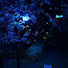 Rnu-ZS9DNoo-channel-avatar-°Джелатто°