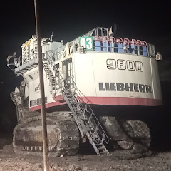 begon sibolang